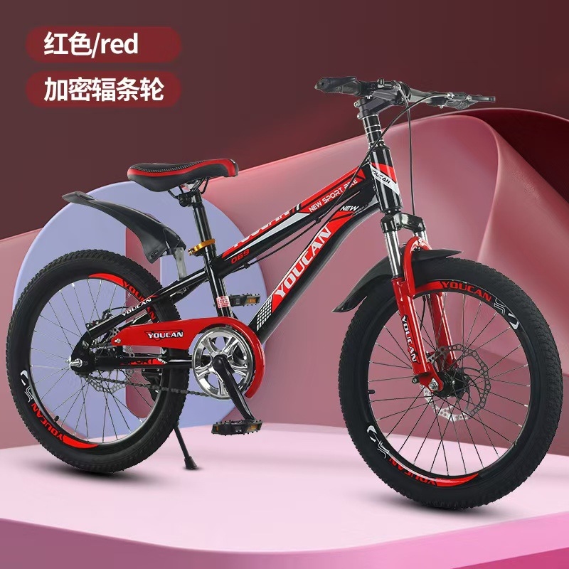 Quality Cycling Gear - Princess Style Kids Mountain Bike for