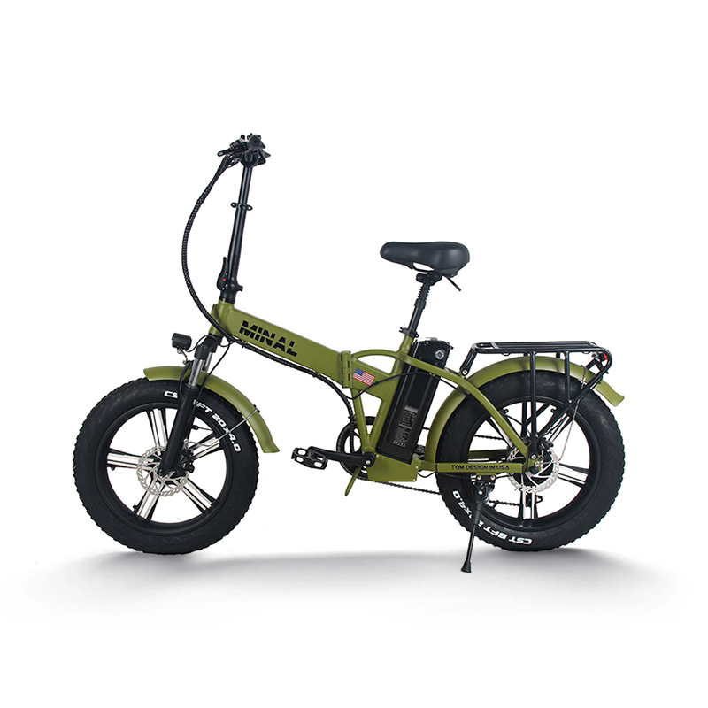 48V 350W 10.5Ah FTC200 Electri - Cycling Gear For Commuting ulasan dan harga